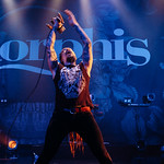 Amorphis @ Finland Fest