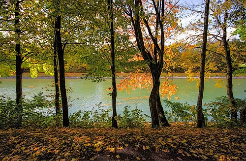 autumn nature canon landscape eos colorful outdoor herbst natur sigma promenade nrw 20mm kanal fluss landschaft ems dortmund münster münsterland westfalen 10mm nordrhein hiltrup 60d radwandern