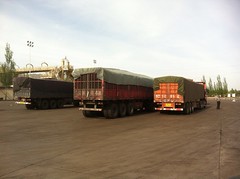 Coal trucks