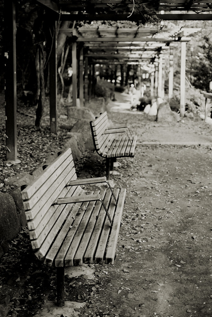 bench