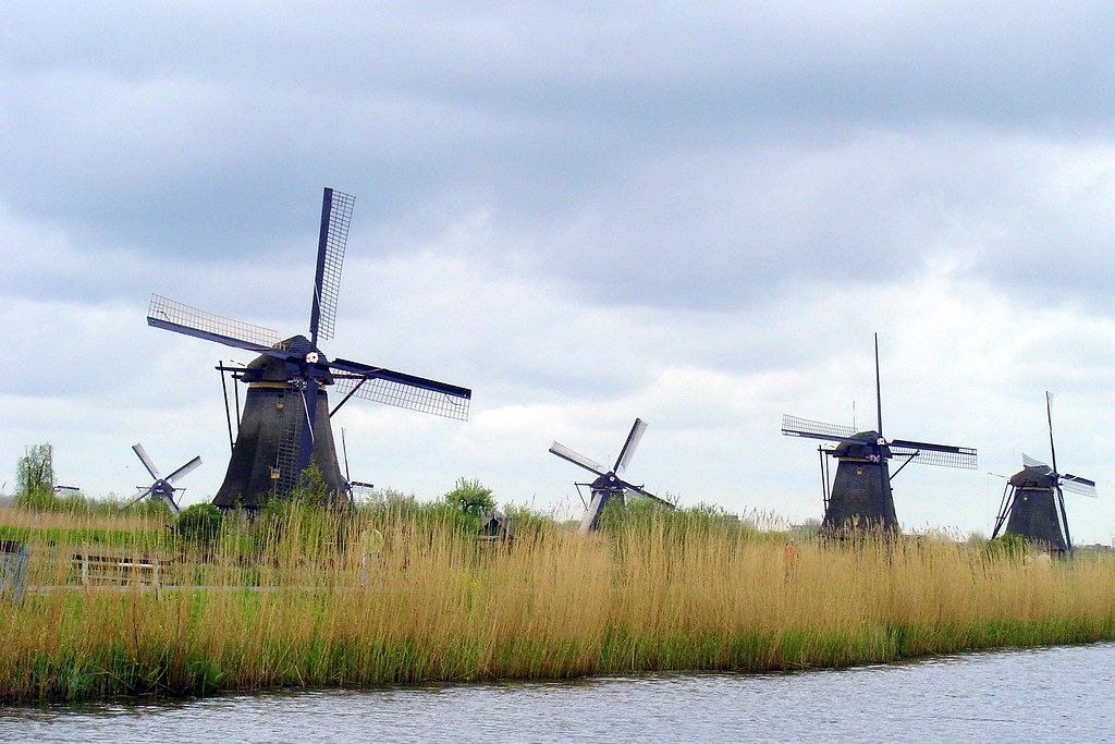 Kinderdijk Landscape