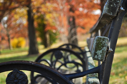 Fall Tilt - Happiness | by Three D Photography - Thanks for 2 million views!