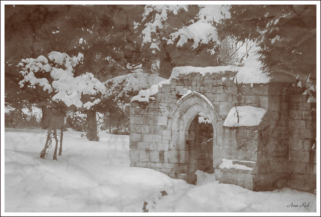 Wroxall Abbey Ruin