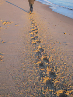 Florio & footprints in the sand, Montauk beach, Long Island, NY 2011