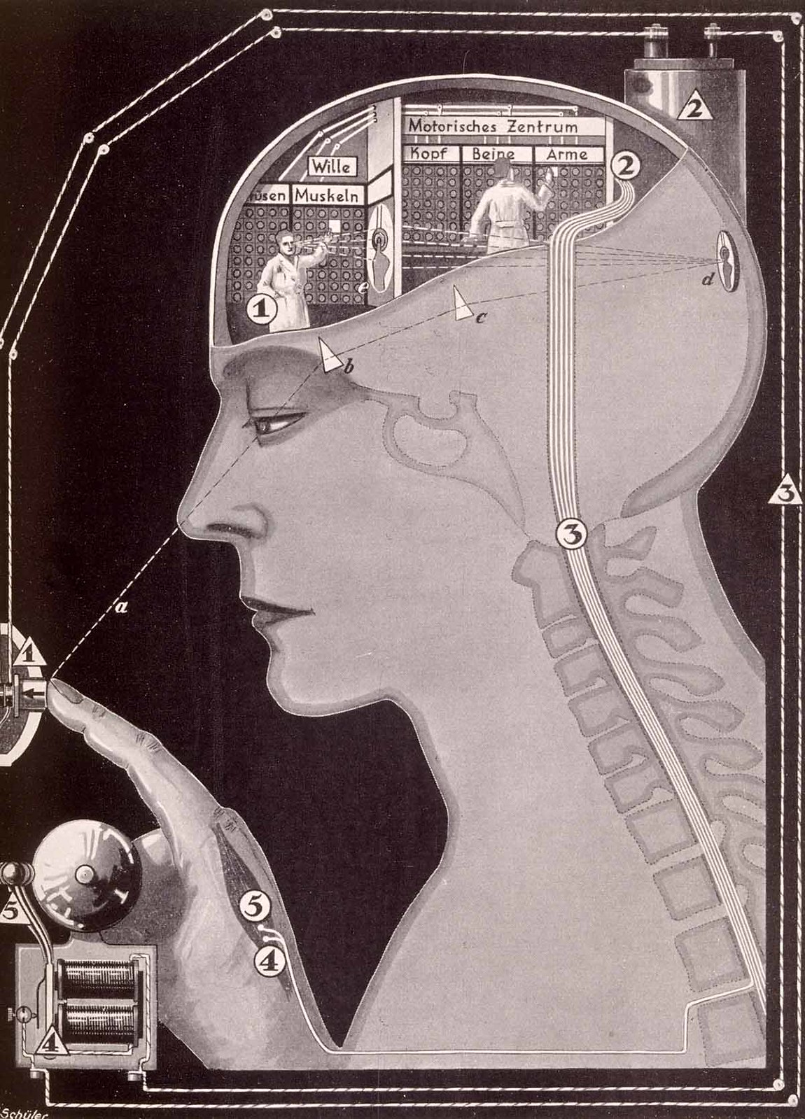 Nervous system - brain of an office, where all the signals coming into it, sorted, (1926)