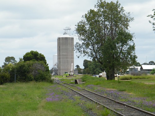green grass town tara grain tracks railway silo queensland fujifilm s2000hd