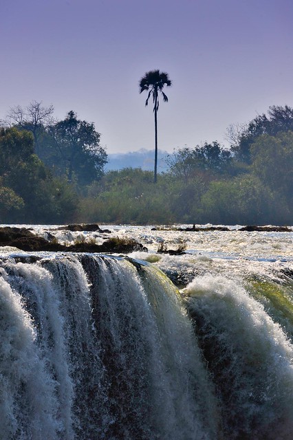Zambia Victoria Falls _D7C19241