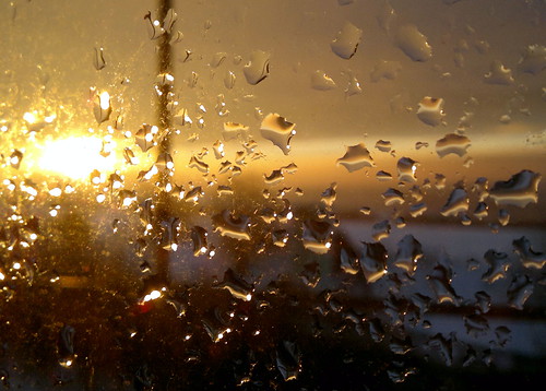 Nokia N8 Bokeh crop by fuchsphoto, Taken with an Nokia N8. Cropped. View original image <a href="http://www.flickr.com/photos/fuchsphot