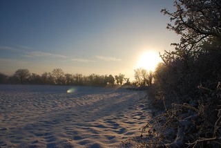 Sunset on a snowy field