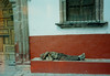 Oaxaca, odpočinek, foto: Eva Trnková