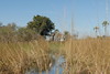 Okavango, foto: Martin Felix