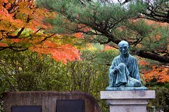 Kodai-ji Temple Gardens