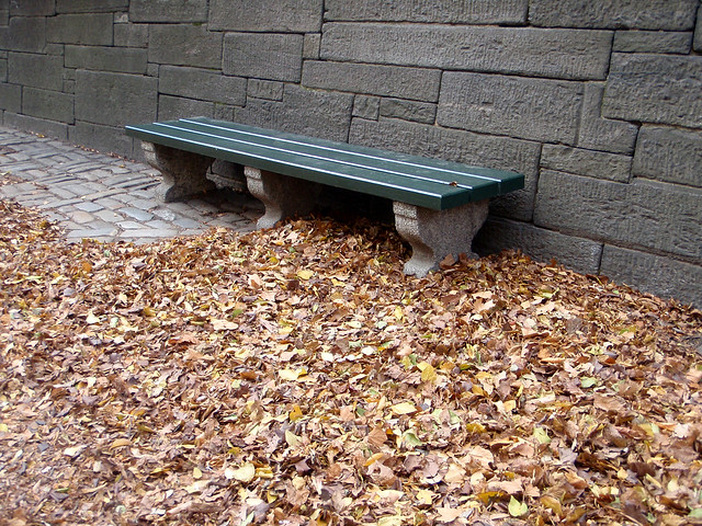 Bench and Leaves.