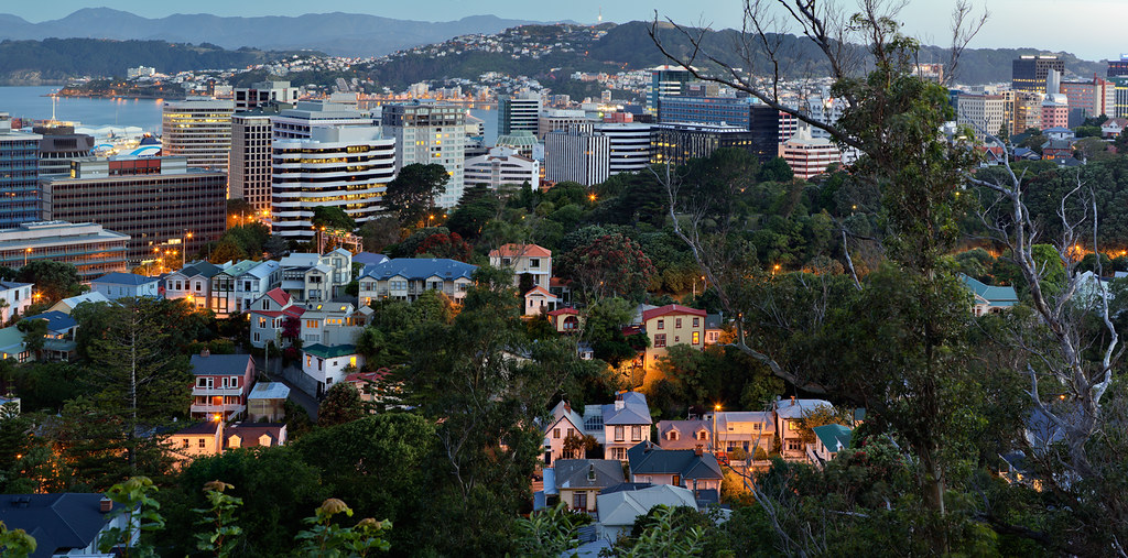 wellington city, suburb with untidy tree by Lester Ralph Blair