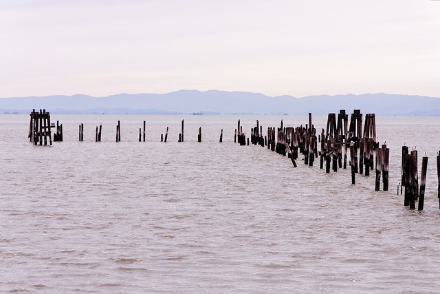 Pilings for an Abanonded Wharf, Point Pinole Regional Shoreline Park
