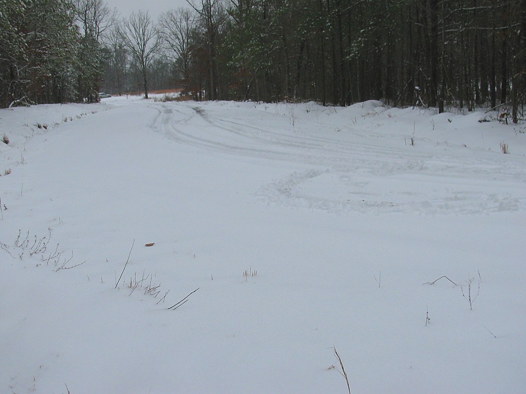 Snow Storm In Alabama | 1-10-11 | FlossieJane | Flickr