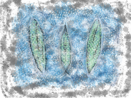 IPad art | by baldpipeguy