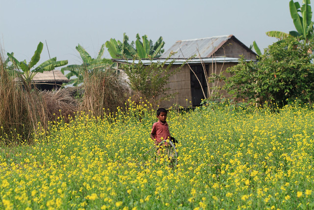 Village boy of Bangladesh [Padmar Char, Louhojong]