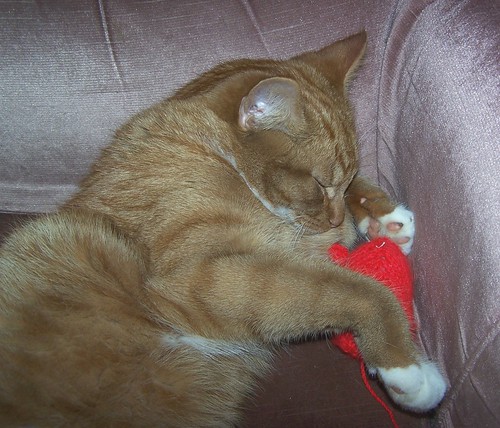 Cuddling Nip Mouse | by Bits On Twigs