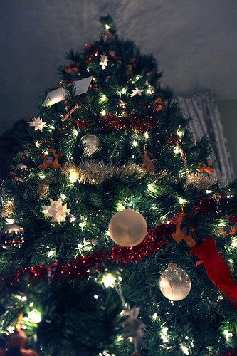 winter christmastree canonef1635mmf28liiusm
