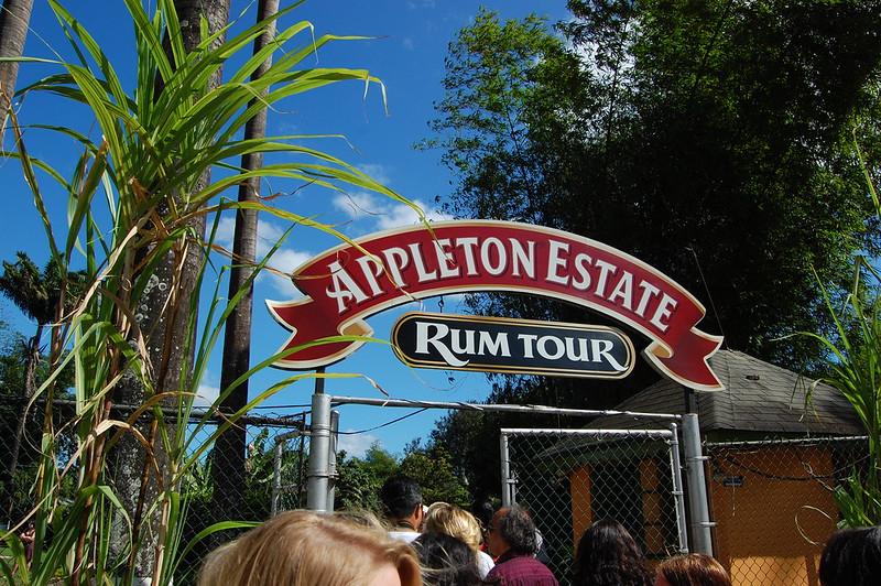 appleton estate rum tour