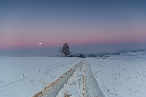 orły województwopodkarpackie polska landscape road tree moon winter snow