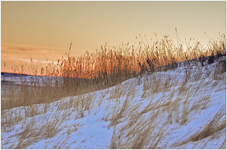 Prairie Grass in December