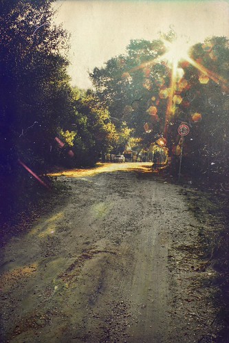 temporary road | by paride de carlo