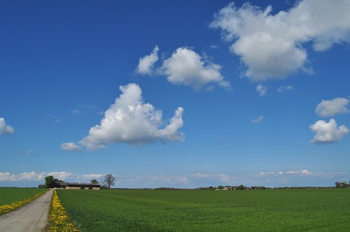 road blue sky cloud colour green clouds denmark countryside spring nikon day colours farm country farming crops roads agriculture danmark springtime lolland 2011 nikond5000 pwpartlycloudy