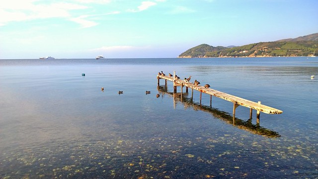 Isola d'Elba - Schiopparello