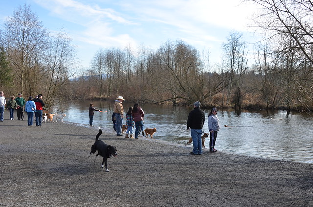 Marymoor Park off-leash dog park