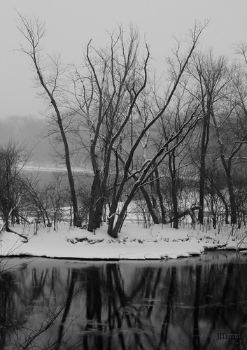 trees winter bw white snow black ice nature water minnesota canon project river mississippi landscape 50mm 5050 2011 niftyfifty jeanamariephotography