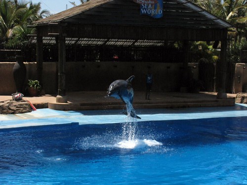 uShaka Marine World