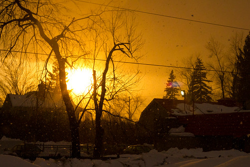 trees winter sunset snow storm canon snowflakes eos rebel 50mm weird 365 epic day293 columbiacounty t2i