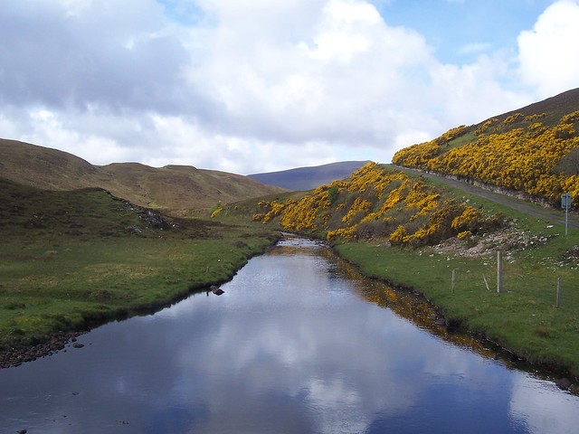 Daill Brae, Cape Wrath Peninsula, North West Sutherland, May 2010