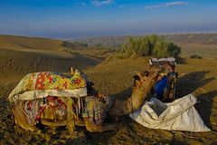 Jaisalmer 120 - Desert Camel Safari - Breakfast