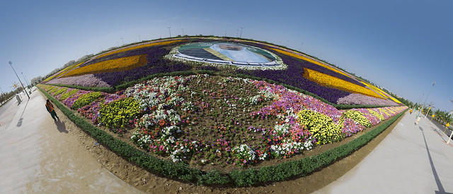 A flowers Carpet