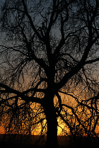 Sunrise by dnieper, españa sunrise spain amanecer zamora villafafila oterodesariegos