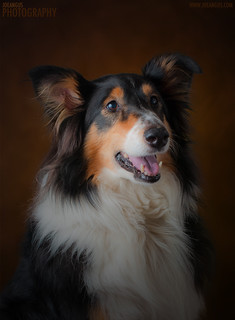Sadie | by wilco3d