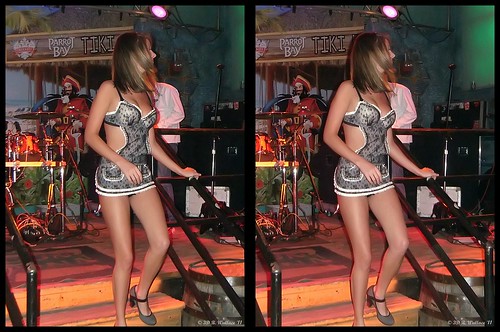 show ladies girls hot sexy beautiful lady female bar club stereoscopic stereogram 3d crosseye nice women pretty slim dancers skin display gorgeous brian fine lingerie indoors stereo linda babes pj attractive wallace inside stereopair trim gals sidebyside depth built skimpy stereoscopy stereographic spm freeview stereovision crossview brianwallace xview stereoimage xeye cancuncantina stereopicture
