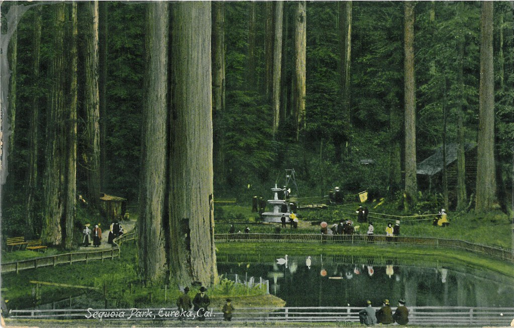 Sequoia Park