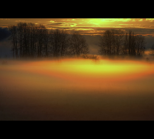 light sunlight canada silhouette fog vancouver sunrise nikon bc britishcolumbia meadow nikond70s 风景 hdr 加拿大 景色 barnstonisland カナダ 조경 캐나다 nikkor55200mmvr
