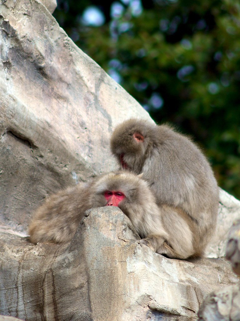 personal grooming