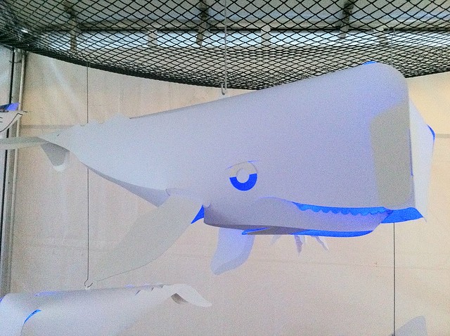 Serious Whale at LunarFest 2011