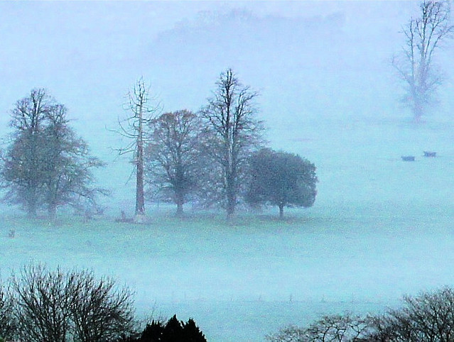 fog in the vale