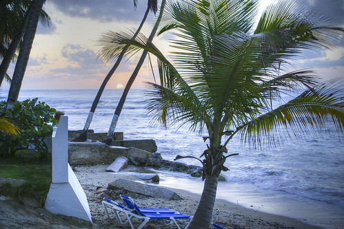 ocean blue winter tree beach yellow clouds sunrise puertorico january earlymorning palm atlanticocean coconutpalm saltwater caribbeansea patillas 2011 caribplayaresort
