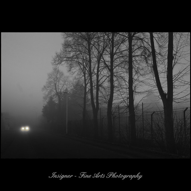 fog series - early morning car and fog