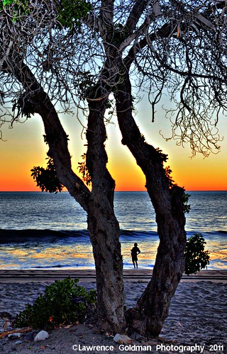 california tree silhouette female fishing beaches venturacounty surffishing stateparks pointmugustatepark sunsetcolors sycamorecove nikond90 lawrencegoldman lhg11