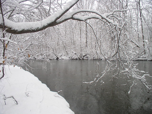Elkhart River - New Year's Day Snow