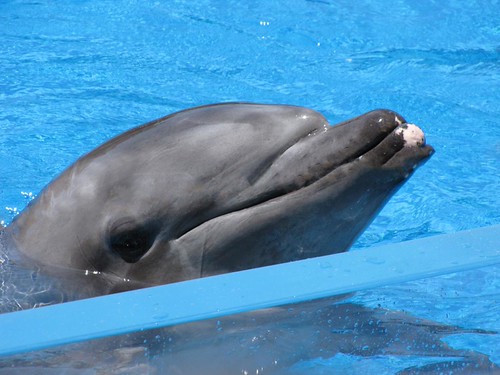 uShaka Marine World